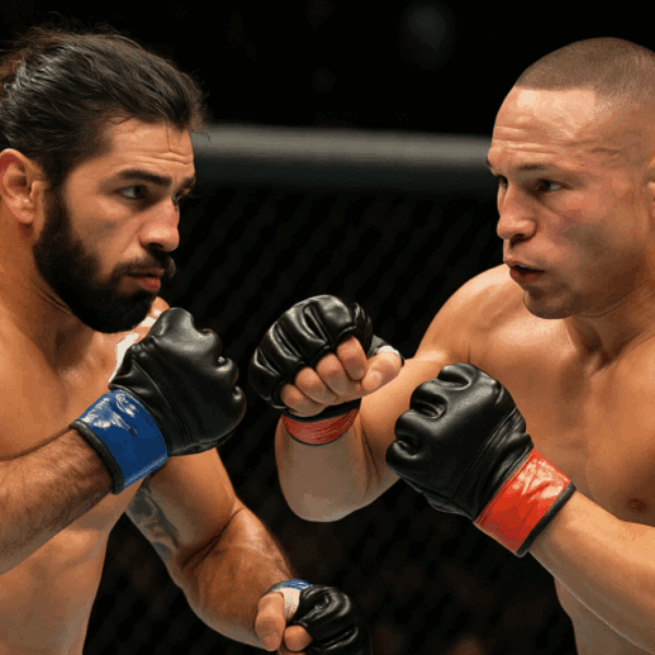 bet365 mma