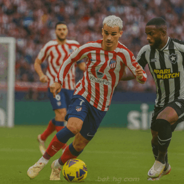 bet365 usa